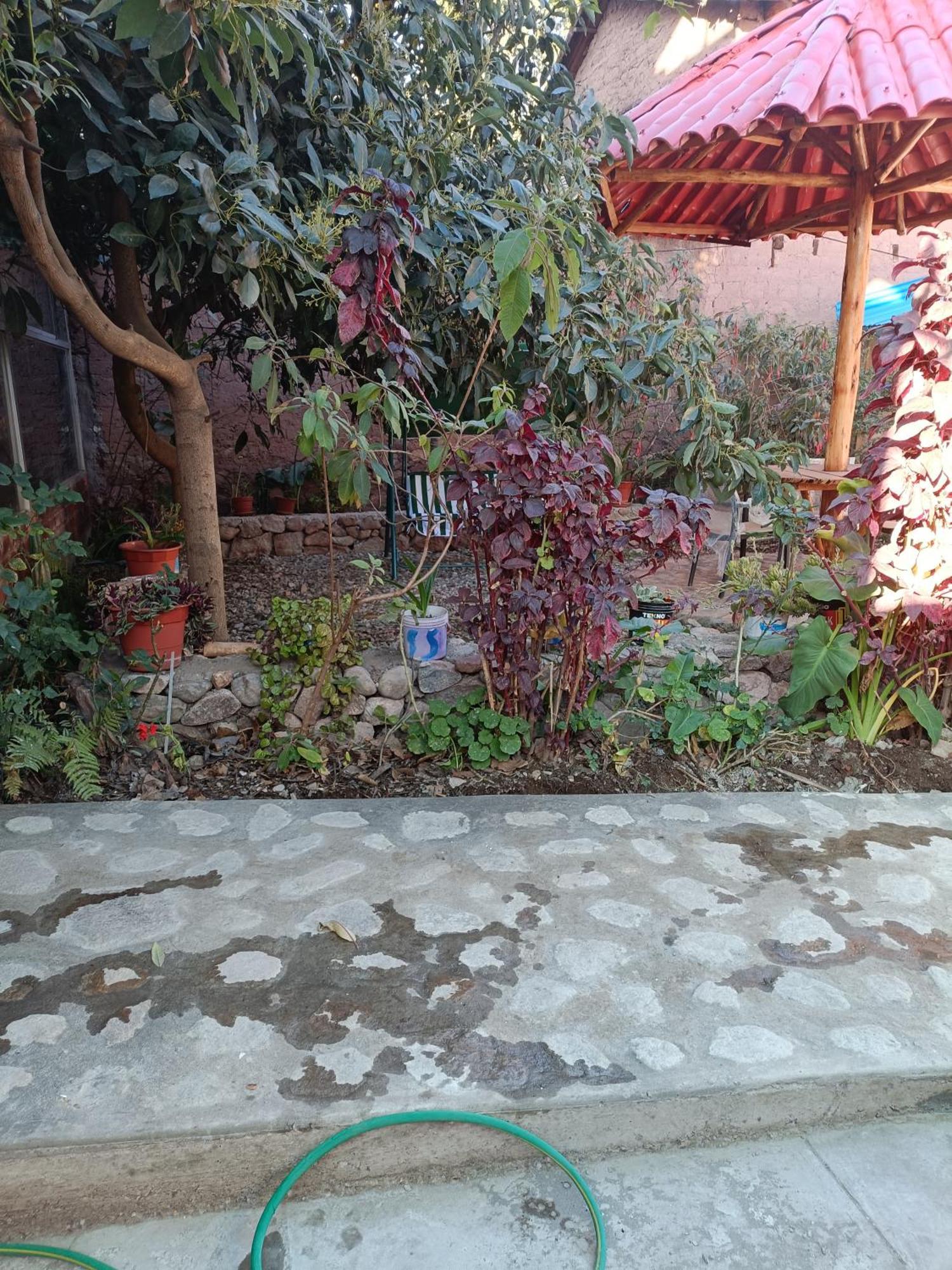 Hostal Ayllu Urubamba Dış mekan fotoğraf